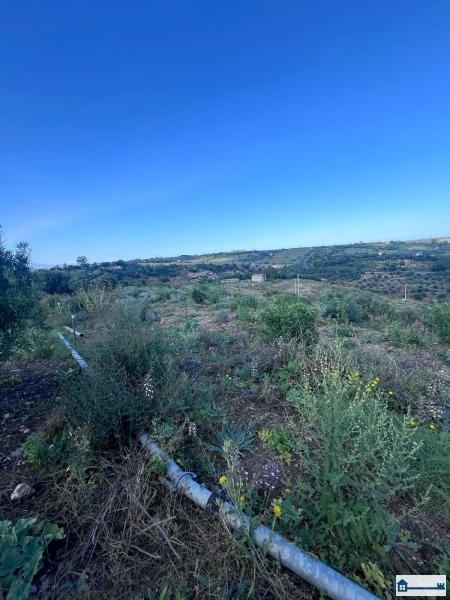 PHOTO-2025-07-09-11-42-40 (21).jpg